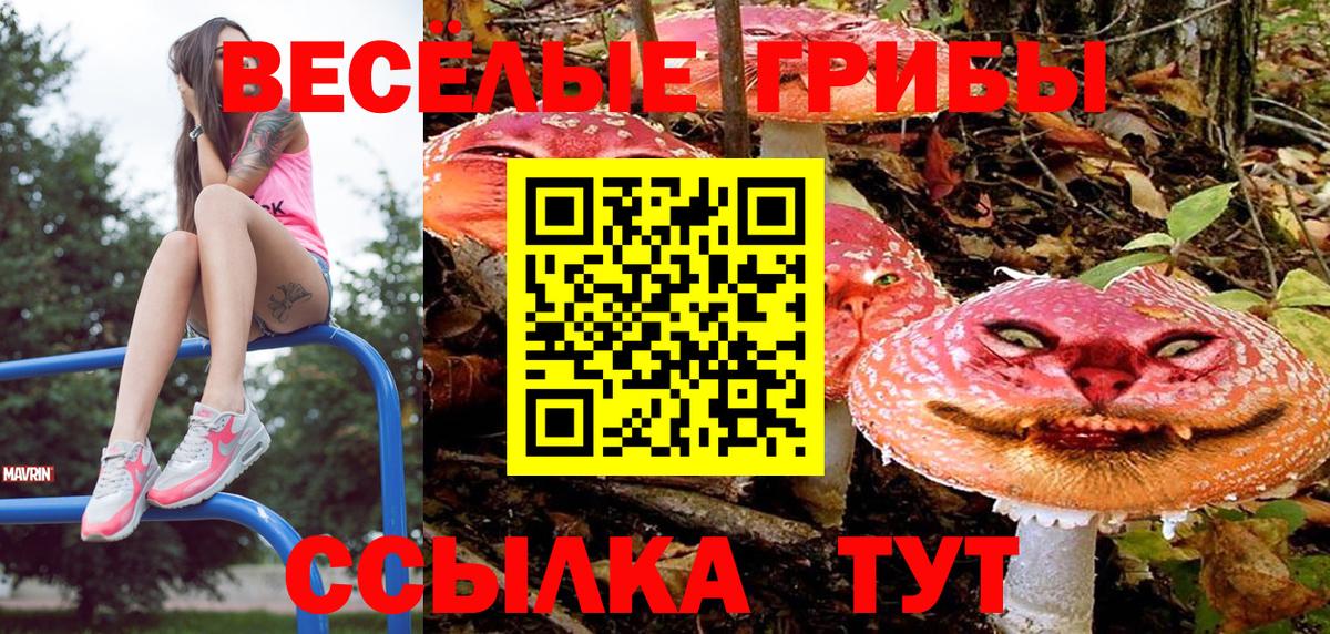 Псилоцибиновые грибы Cubensis Ирбит